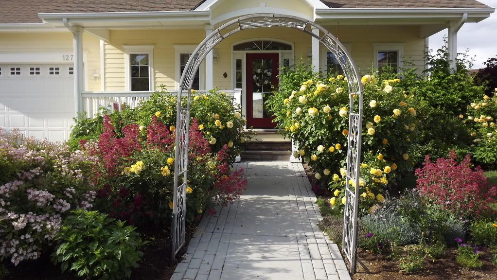 Two Julia Childs, Bernstein-roses and Ballerinas as well