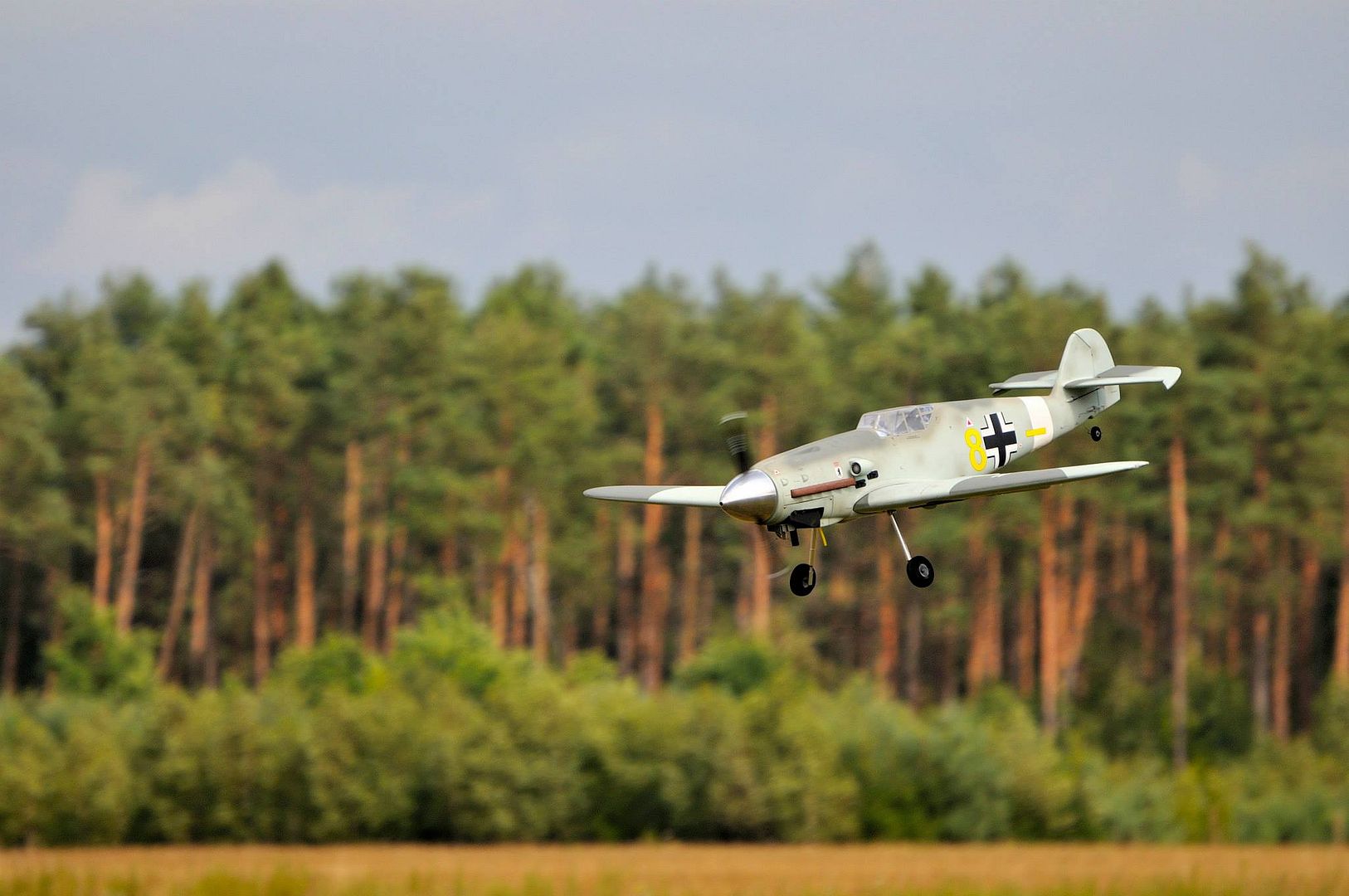 10494307_794411047266981_482423263627959