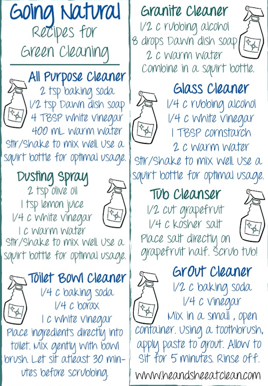  photo HomemadeCleanersRecipes_zpsf1240365.png