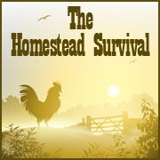 The Homestead Survival