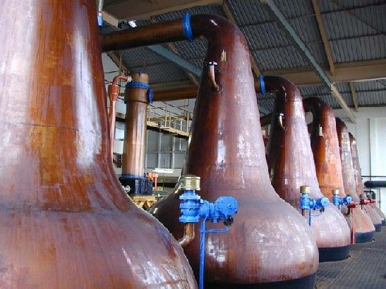 destileria_whisky_escocia.jpg