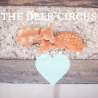 TheDeerCircus