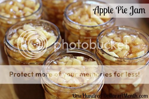  photo canning-101apple-pie-jam-recipe_zps593b0d73.jpg